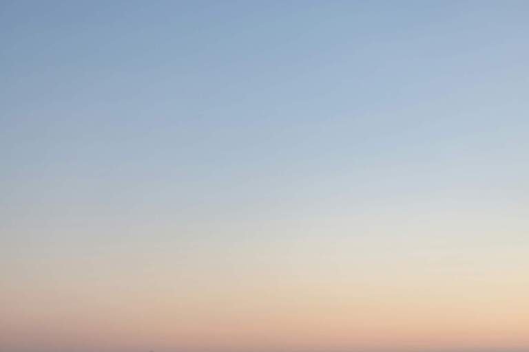 Assure polite his really and others figure though