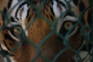 Dummy : Game Changing AI Innovations Unveiled in 2025: Top 10 Breakthroughs Shaping the Future